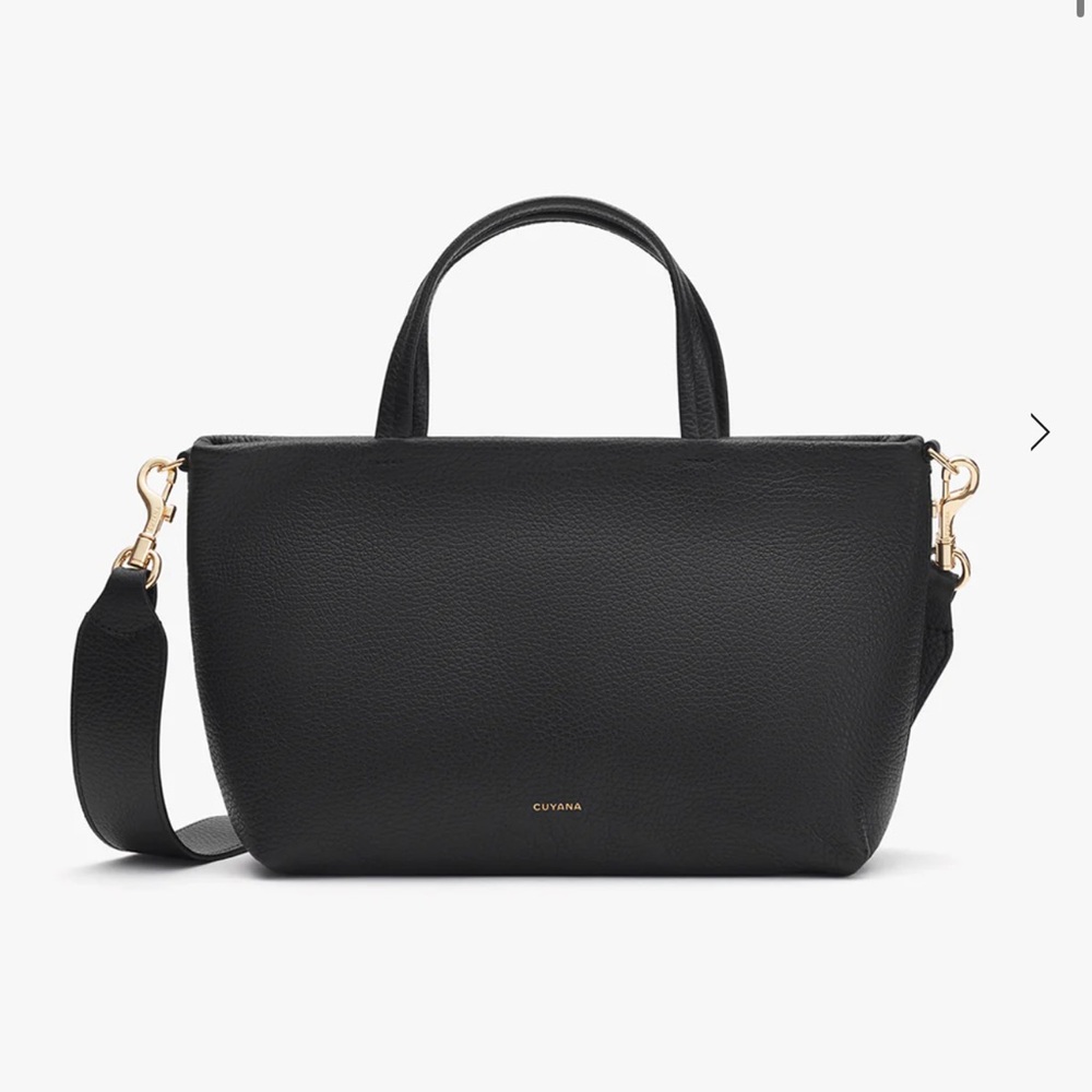 Cuyana Mini Easy Zipper Tote